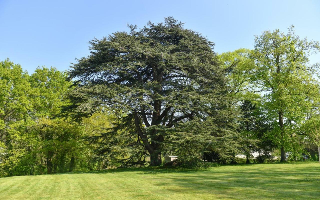 Chateau De La Grand'Cour Grandchamp-des-Fontaines Εξωτερικό φωτογραφία